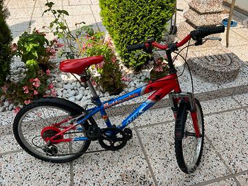 Bici ragazzo 5-10 anni Bottecchia