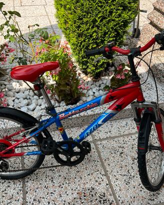 Bici  Bottecchia