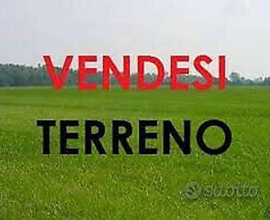 Cuneo e Provincia