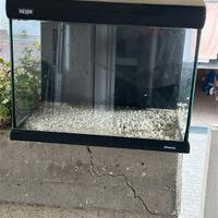 Acquario Mirabello Newa 30 LT.