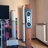 Dynaudio Confidence C2 