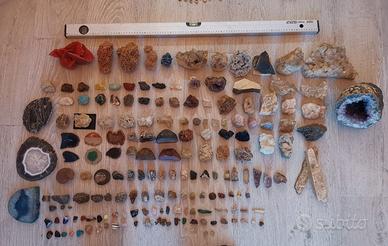 Collezione minerali, fossili, coralli e conchiglie