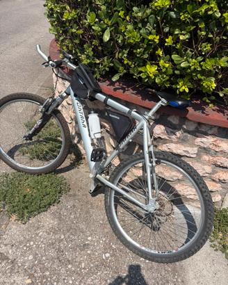 Mountain bike fontana