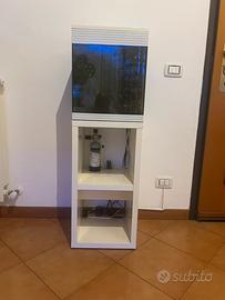 Acquario askoll pure M