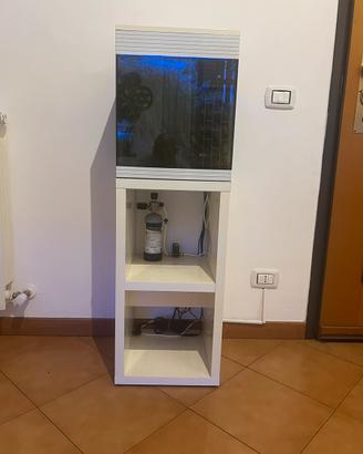 Acquario askoll pure M