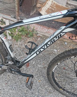 Olympia CSL-X 29 carbon 