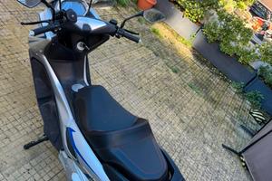 Hurba Street Raptor - 2024