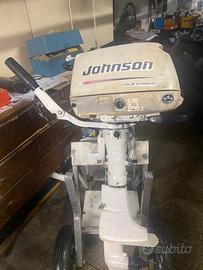 Johnson 6cv