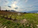 ter-agricolo-a-bricherasio