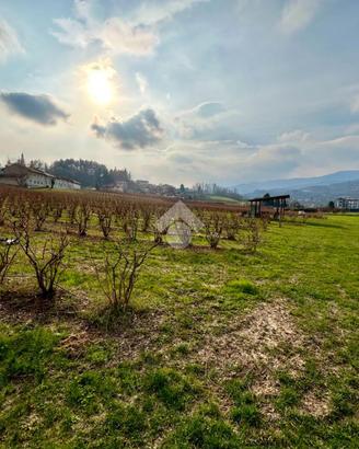 TER. AGRICOLO A BRICHERASIO