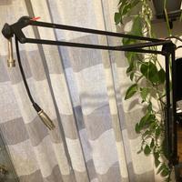 Asta microfonica da tavolo con cavo microfonico