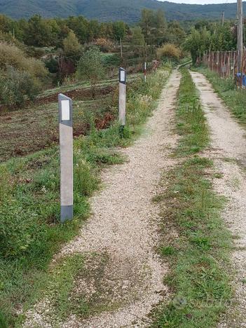 Terreno con alberi di ulivo grandi e legnA