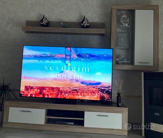 Mobile Tv