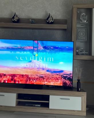 Mobile Tv