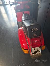 T5  conservato di Pontedera 