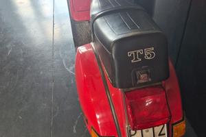 T5  conservato di Pontedera 