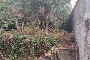 Casa singola più garage più giardinetto Aci Bonacc