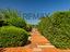 Immagine 28