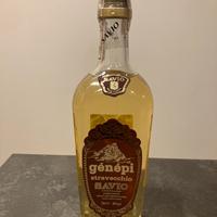 Genepi savio