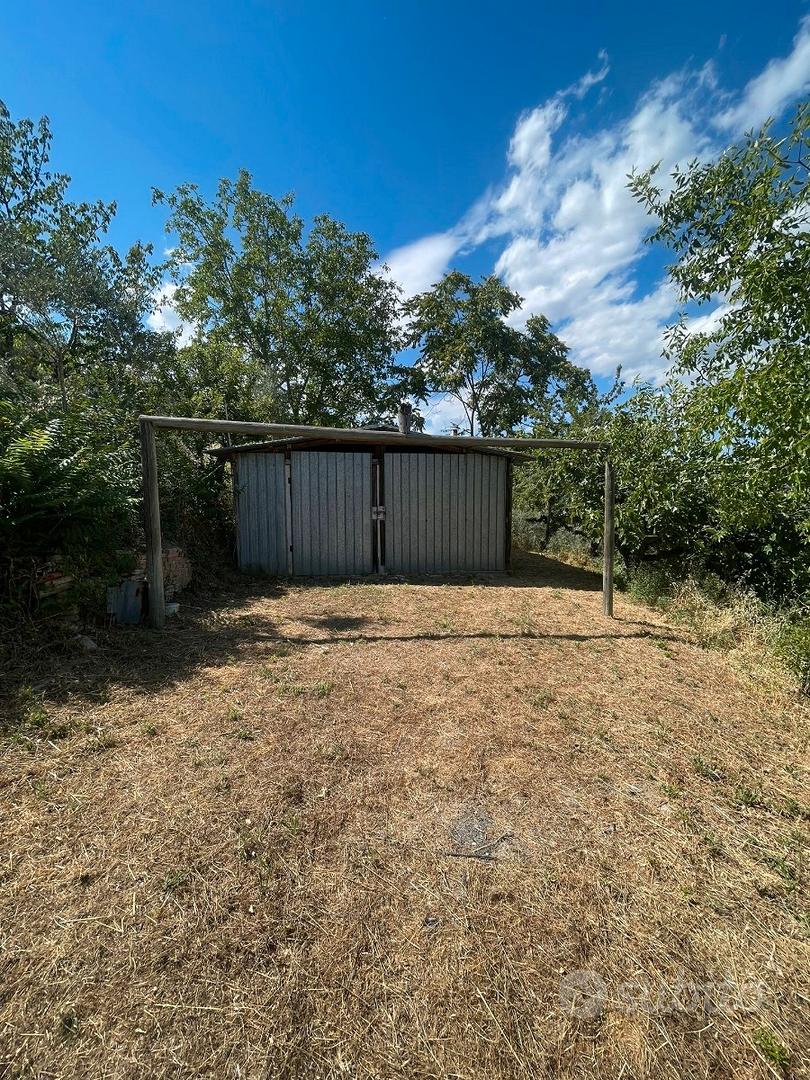 Terreno agricolo - Vista 5
