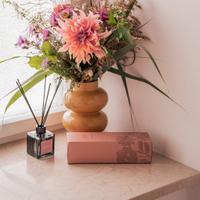 profumo per ambiente con diffusore