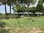 Immagine 20