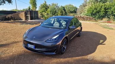 TESLA Model 3 - 2021