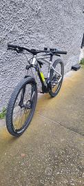 e-mtb  tg S 