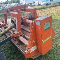 Trincia agrimaster