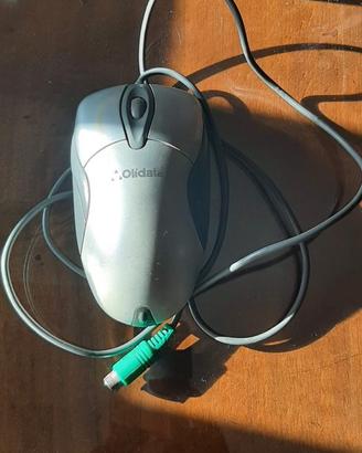 Mouse Olidata