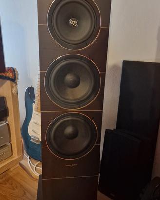 diffusori casse sonus faber 