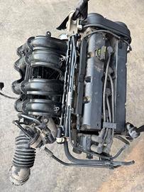 SNJB MOTORE FORD Fiesta Mk6 (JA8, JR8) 1.2 Benzina