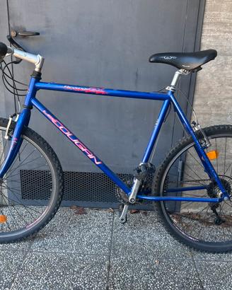Bicicletta