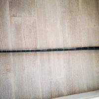 bastone da collezione 