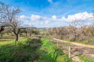 Terreno - Piazza Armerina