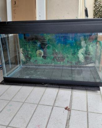 acquario pesci 300 litri + mobiletto
