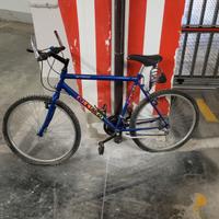 Bici olmo