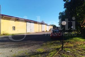 Capannone Industriale Latina [Cod. rif 3283319ACG]