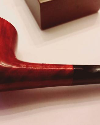 savinelli sigla 
