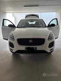 Jaguar e pace