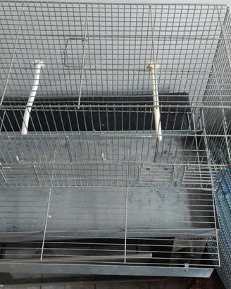 gabbia uccelli pappagalli