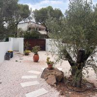 Cala liberotto