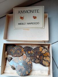 fossile 