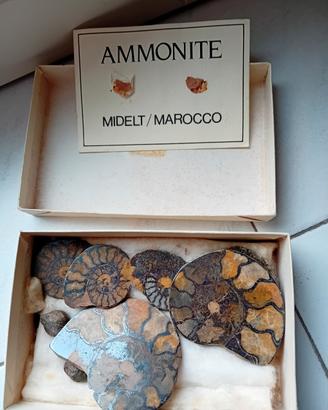 fossile 