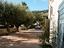 Immagine 11