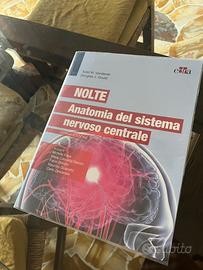 Nolte Anatomia del sistema nervoso centrale