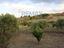 Immagine 27