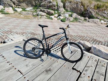 mountain bike