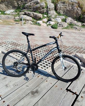 mountain bike