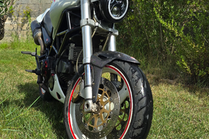 Ducati monster
